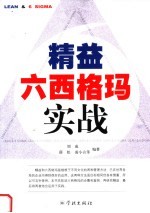 精益六西格玛实战