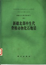 中国科学院古脊椎动物与古人类研究所甲种专刊第十五号 新疆古生物考察报告 4 新疆北部中生代脊椎动物石地层