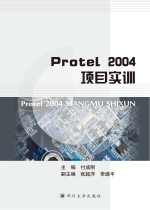 Protel 2004项目实训