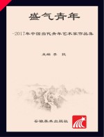 盛气青年 2017年中国当代青年艺术家作品集