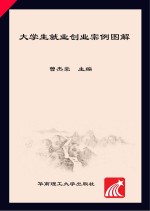 大学生就业创业案例图解