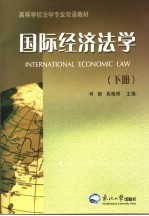 国际经济法学 下