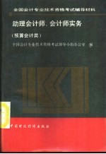 助理会计师、会计师实务