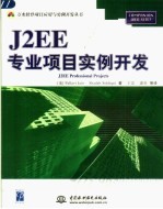 J2EE 专业项目实例开发