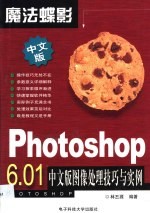 Photoshop 6.01中文版图像处理技巧与实例