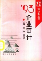 '93企业审计