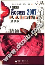 ACCESS 2007中文版从入门到精通 （普及版）