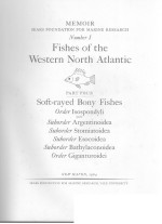 FISHES OF THE WESTERN NORTH ATLANTIC PART FOUR