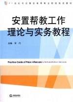 安置帮教工作理论与实务教程