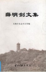 薛明剑文集 上