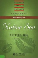 NEW ESSAYS ON NATIVE SON