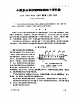 小型多丝漂移室的结构和主要性能