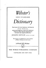 WEBSTER'S DICTIONARY