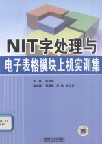 NIT字处理与电子表格模块上机实训集