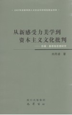 从新感受力美学到资本主义文化批判  苏珊·桑塔格思想研究