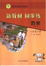 新教材 同步练 历史 八年级 下 配冀人版