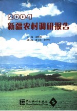 新疆农村调研报告 2004