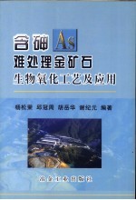 含砷难处理金矿石生物氧化工艺及应用