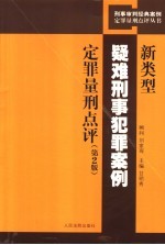 新类型疑难刑事犯罪案例定罪量刑点评 第2版