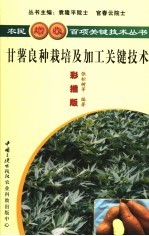 甘薯良种栽培及增值加工关键技术 彩插版