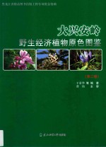 大兴安岭野生经济植物原色图鉴 第2卷 = Color atlas of wild economic plant in Great Khingan Range