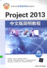 Project 2013中文版简明教程