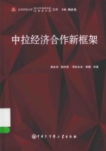 北京师范大学新兴市场研究院发展研究院文库 中拉经济合作新框架