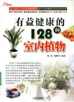 有益健康的128种室内植物