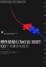 心理咨询与治疗100个关键点译丛  理性情绪行为疗法  REBT  100个关键点与技巧