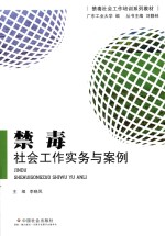 禁毒社会工作实务与案例