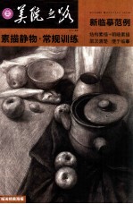 美院之路新临摹范例 素描静物·常规训练