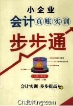 小企业会计真账实训步步通 实战详解版