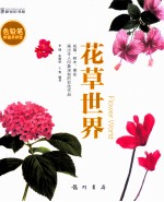 花草世界