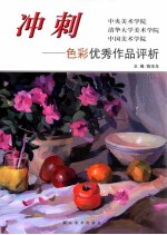 冲刺  中央美术学院  清华大学美术学院  中国美术学院  色彩优秀作品评析