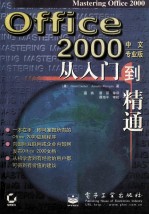 offic 2000 中文专业版 从入门道精通