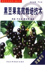 黑豆果高效栽培新技术