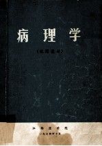 病理学 试用教材