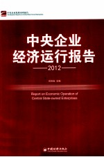 中央企业经济运行报告 2012