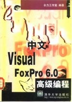 中文Visual FoxPro 6.0高级编程