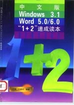 中文版Windows3.1 Word5.0/6.0“1+2”速成读本