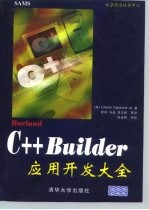 Borland C++ Builder应用开发大全