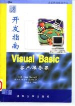 Visual Basic客户/服务器开发指南