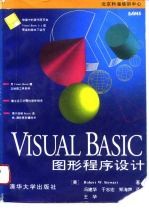 Visual Basic图形程序设计