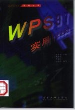 WPS 97实用100问