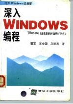 深入Windows编程 Windows加密及压缩软件编程技巧与方法