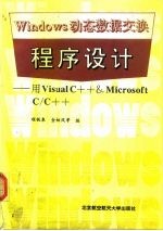 Windows 动态数据交换程序设计 用Visual C++& Microsoft C/C++