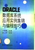 ORACLE数据库系统应用实例集锦与编程技巧