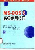 MS-DOS 6高级使用技巧