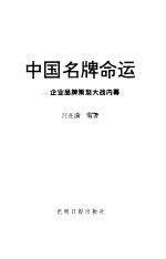 中国名牌命运 企业品牌策划大战内幕 当代中国企业忧思录