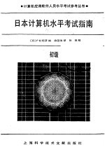 日本计算机水平考试指南 初级